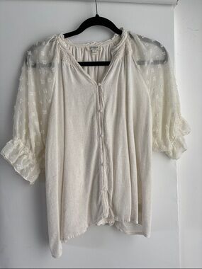 Umgee Cream Button-Front Blouse with Sheer Embroidered Sleeves